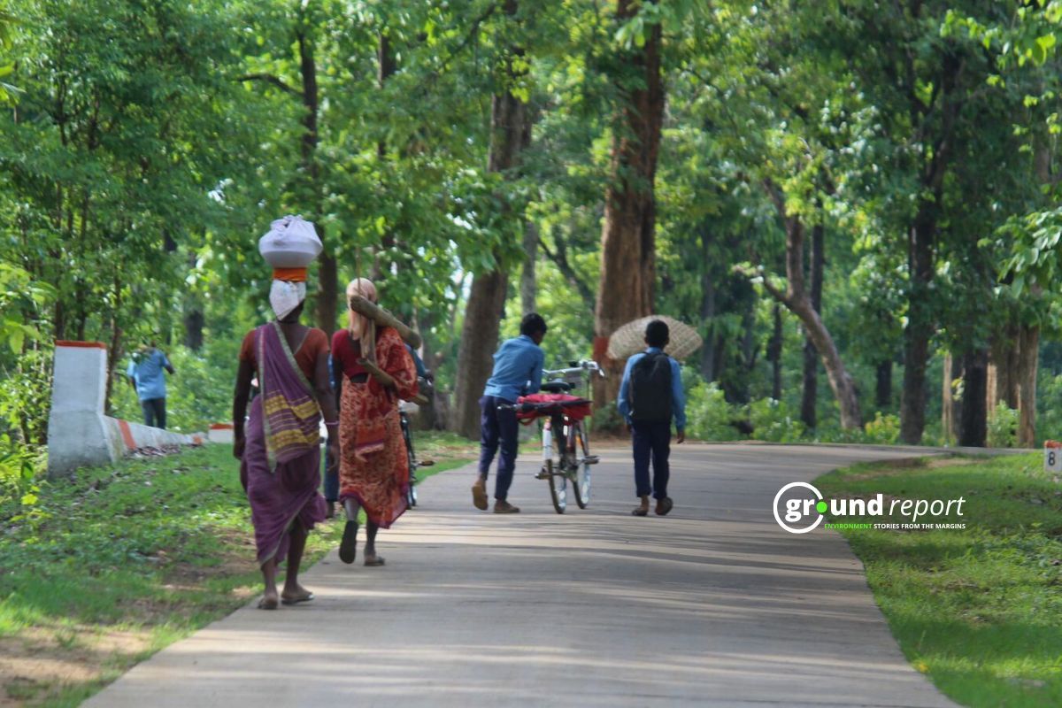 Displacement only way out for India’s Tiger conservation project?