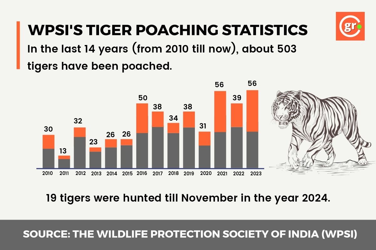 Tigers poaching cases in India
