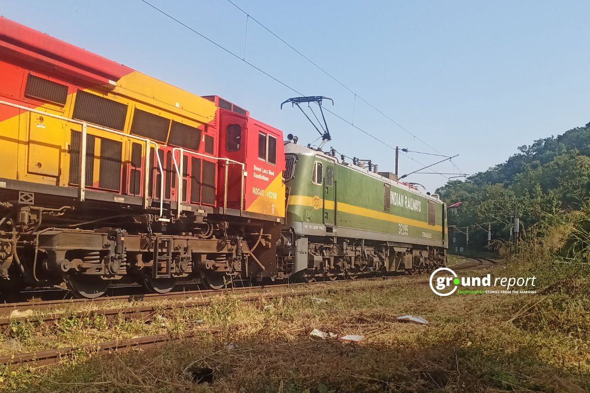 Train passing from forest area in Ratapani wildlife sanctuary