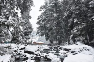Watch: Kashmir experiences first snowfall of season after dry spell