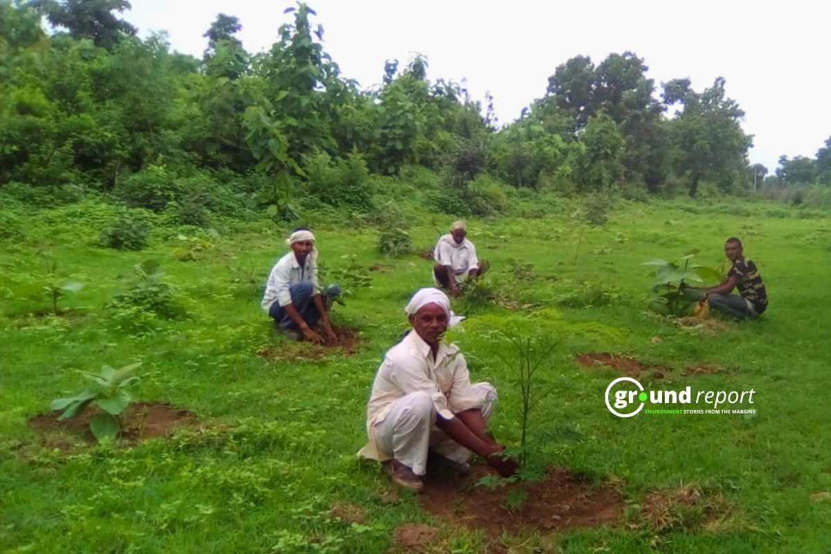 Farmers planting trees in their field to prevent soil erosion