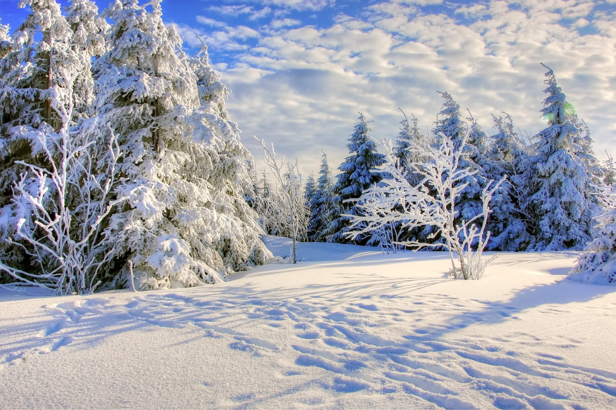 No coats or thick clothing: this is the right way to keep warm