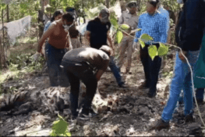 Tiger poachers arrested in Banspani Forest, Narmadapuram