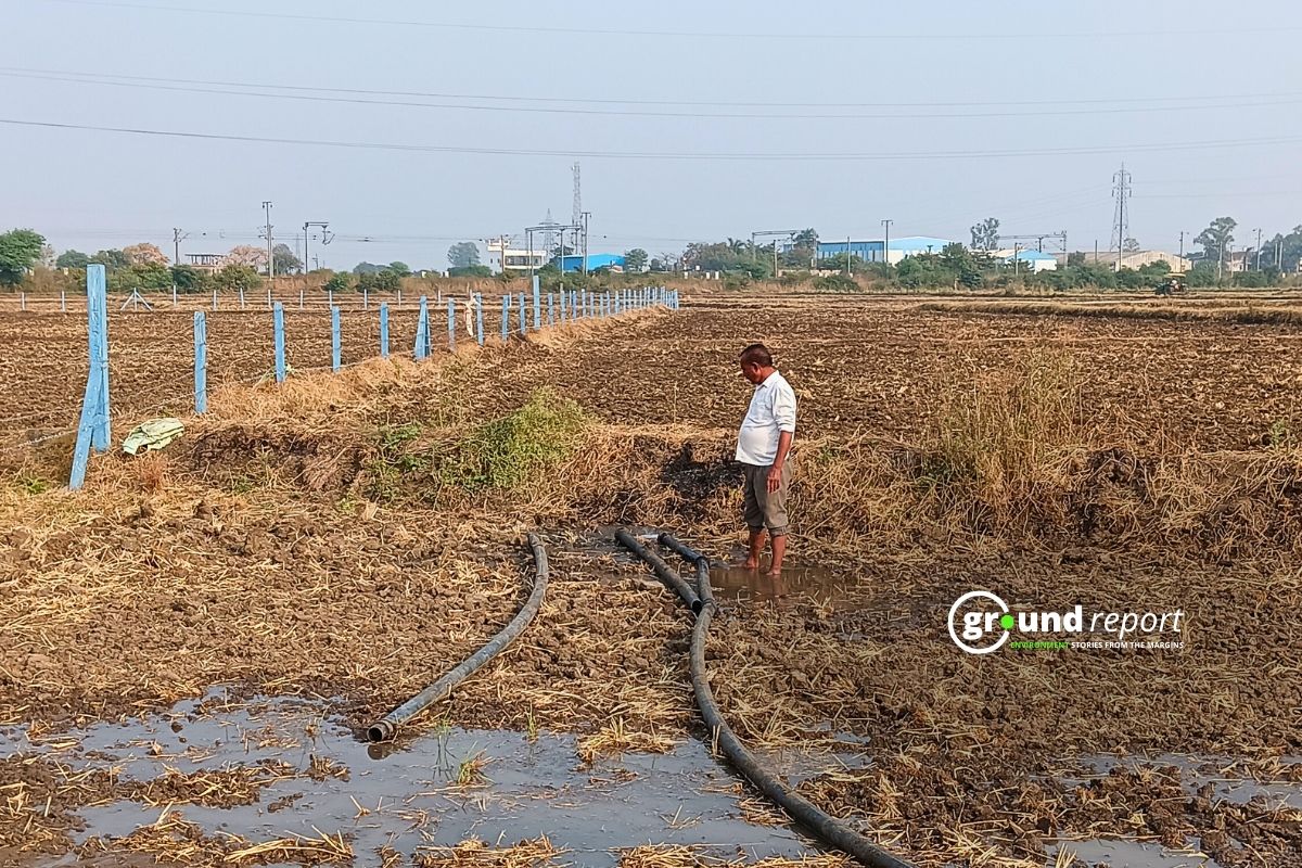 Wheat sowing in Madhya Pradesh