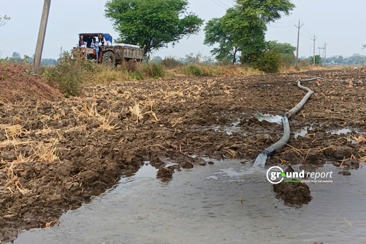 Lack of electricity connection, power cuts delay wheat sowing in MP