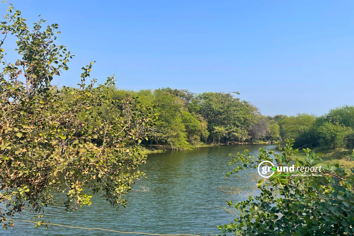 The Kulas River located in Kulas Kalan village recharges the Bhoj Wetland.