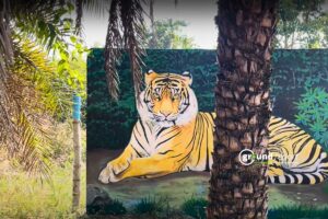 बाघों को रोककर चंदनपुरा नगर वन में कराई जाएगी लोगों की मॉर्निंग वॉक