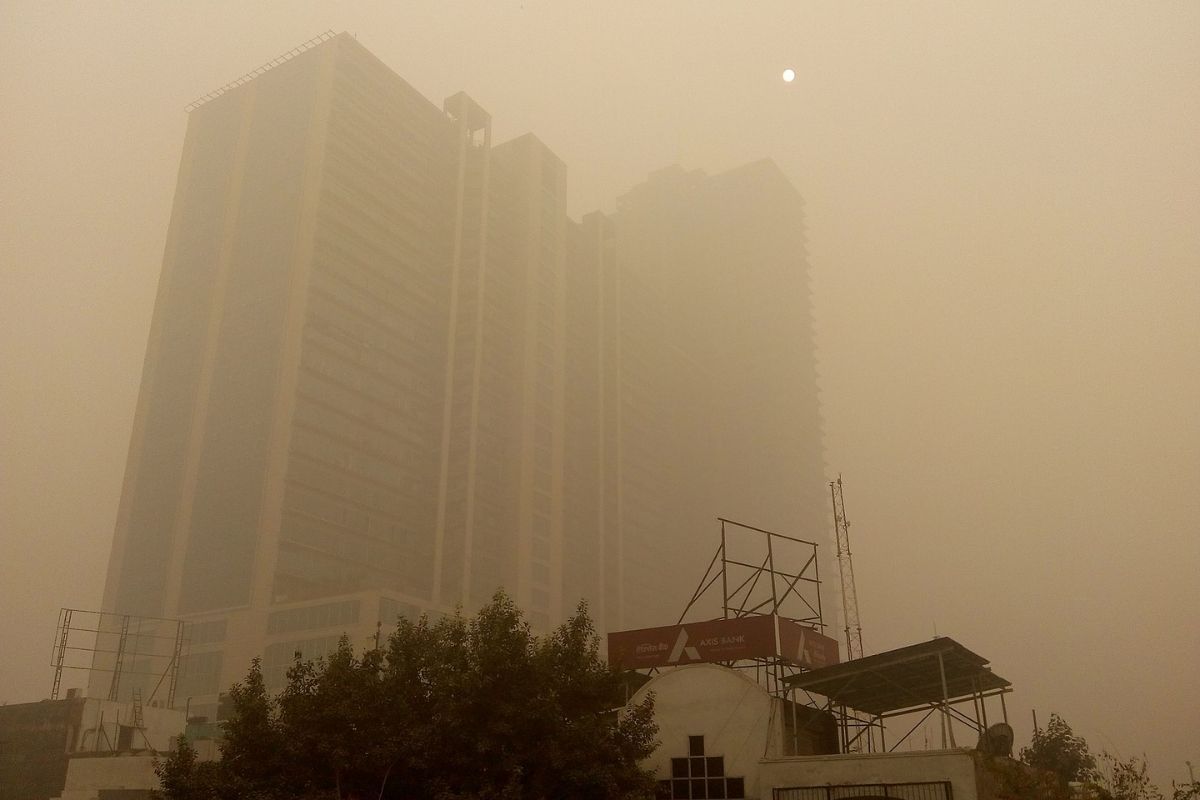 Delhi air quality worsens in 2024 despite decline in stubble burning: CSE report