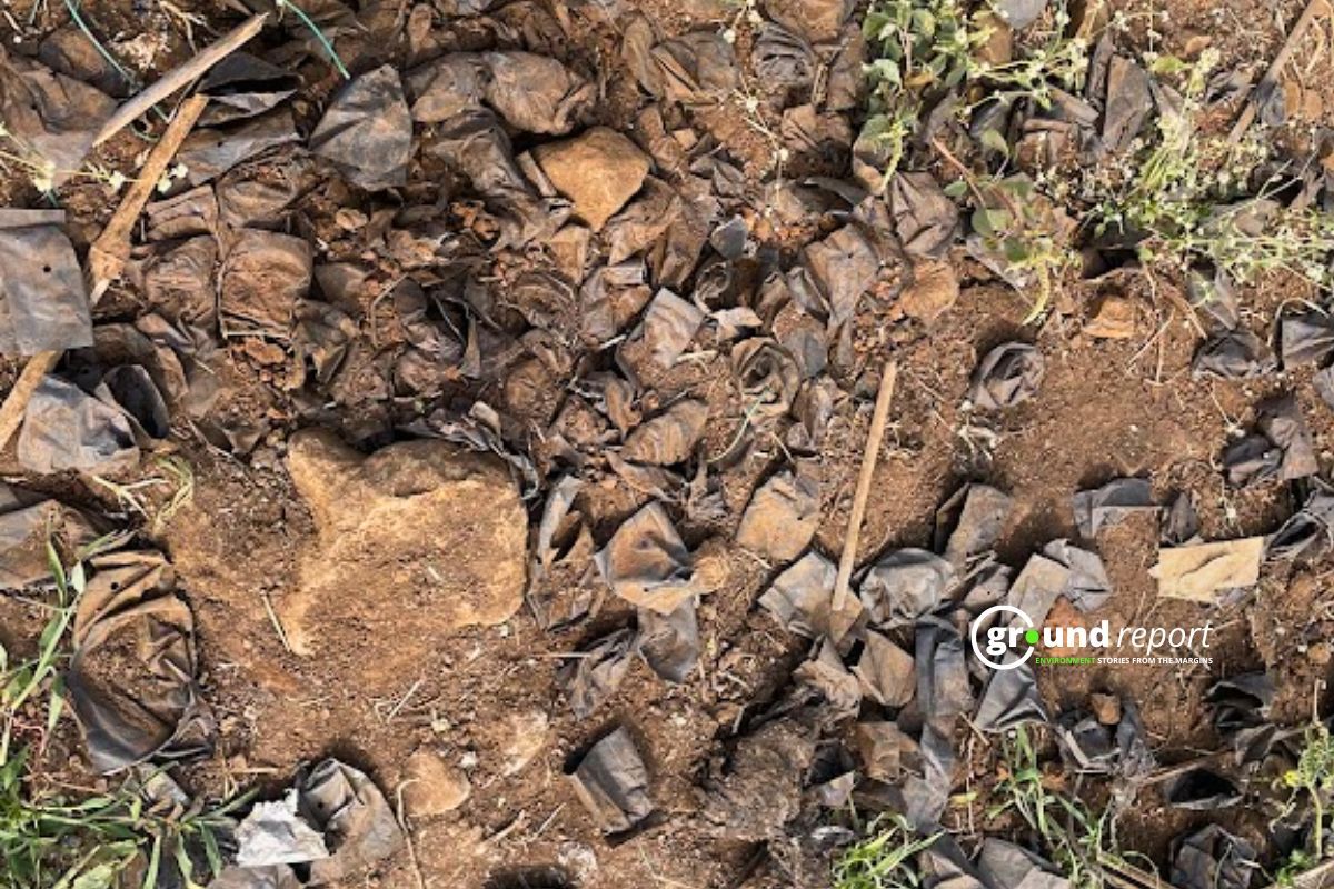 Plastic pollution in a agriculture land