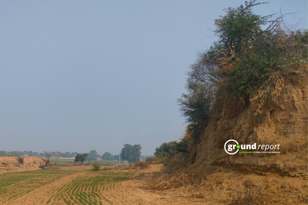 agriculture in beehad