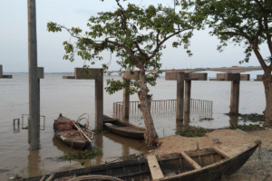 Unseasonal floods Hit Bihar’s Darbhanga, destroying rabi crops