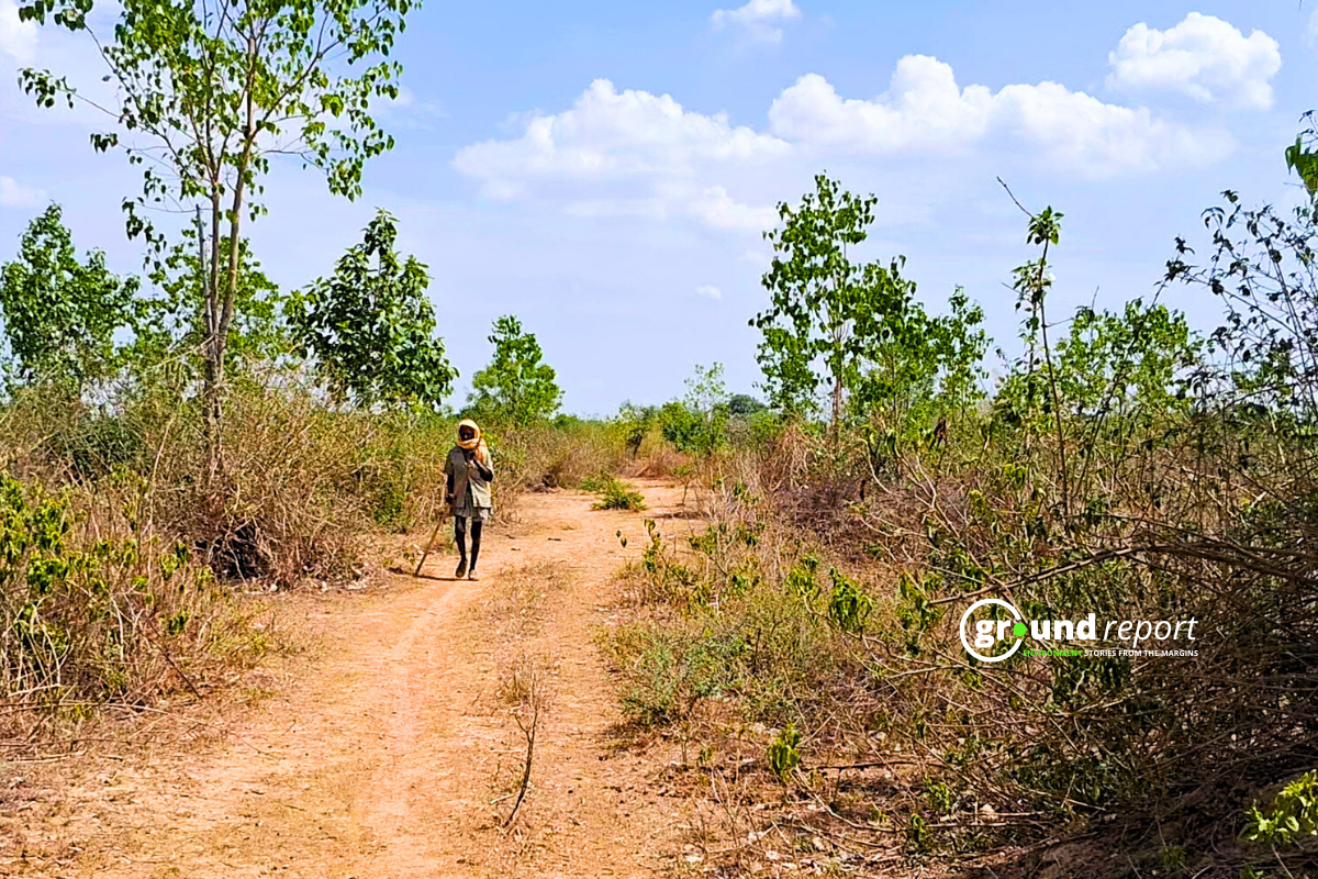 shrug jungle in satna