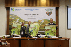 Focus on quality, not just numbers: Experts call for stronger wetland conservation