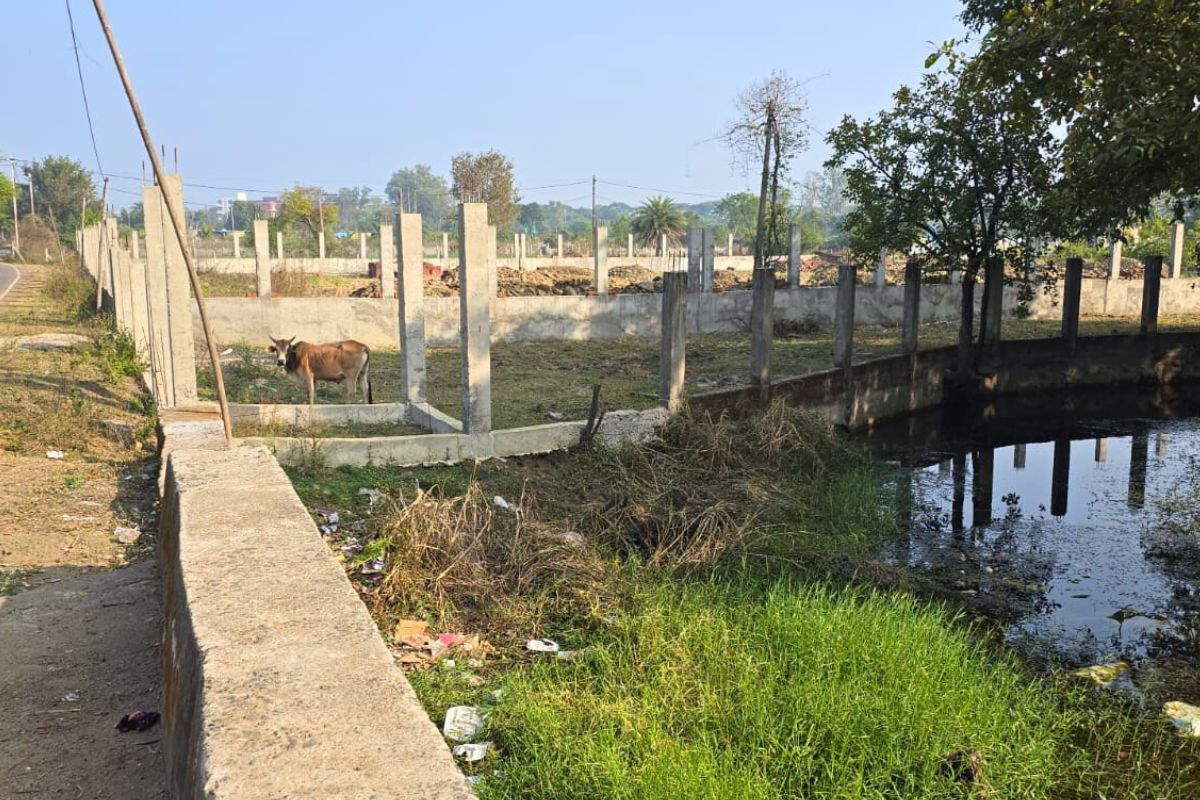 Bhoj Wetland Encroachment