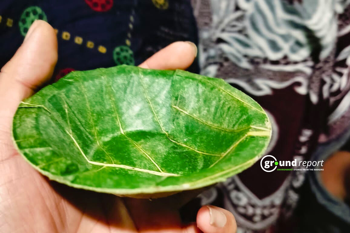 Dona made of Palash leaves