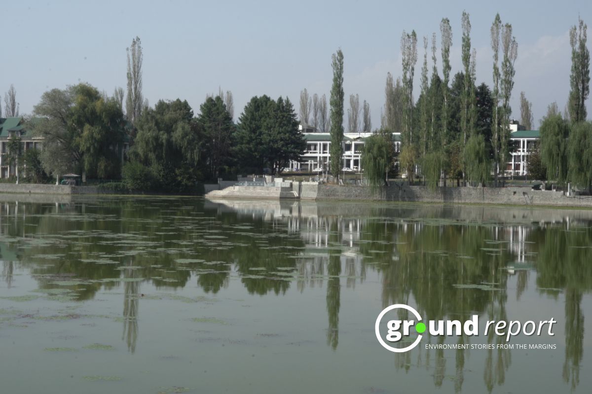 WMO releases forecast: What will world's weather be next 3 months?