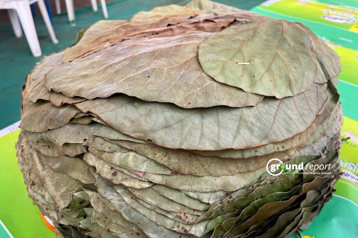 Dona Pattal of Palash leaves