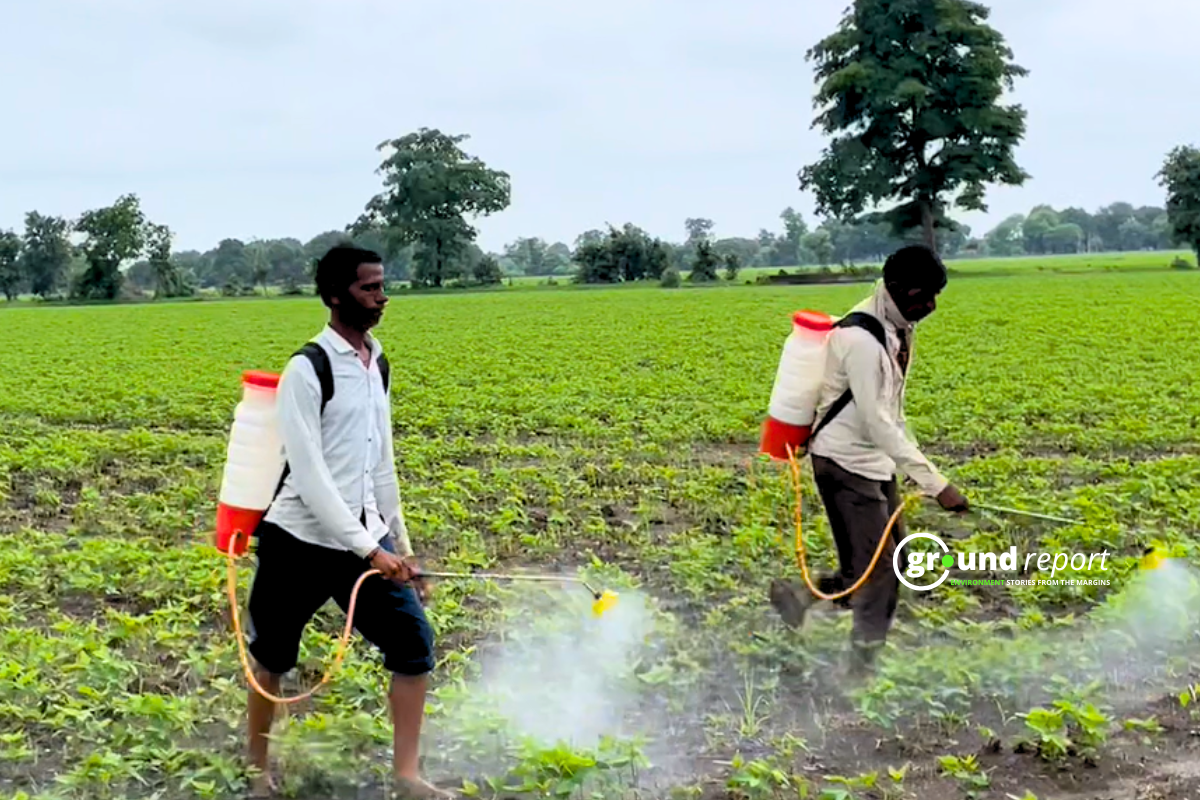 13121110987pesticide selling6