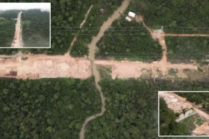 World leaders to gather for climate summit—while bulldozing Amazon forest for easier travel