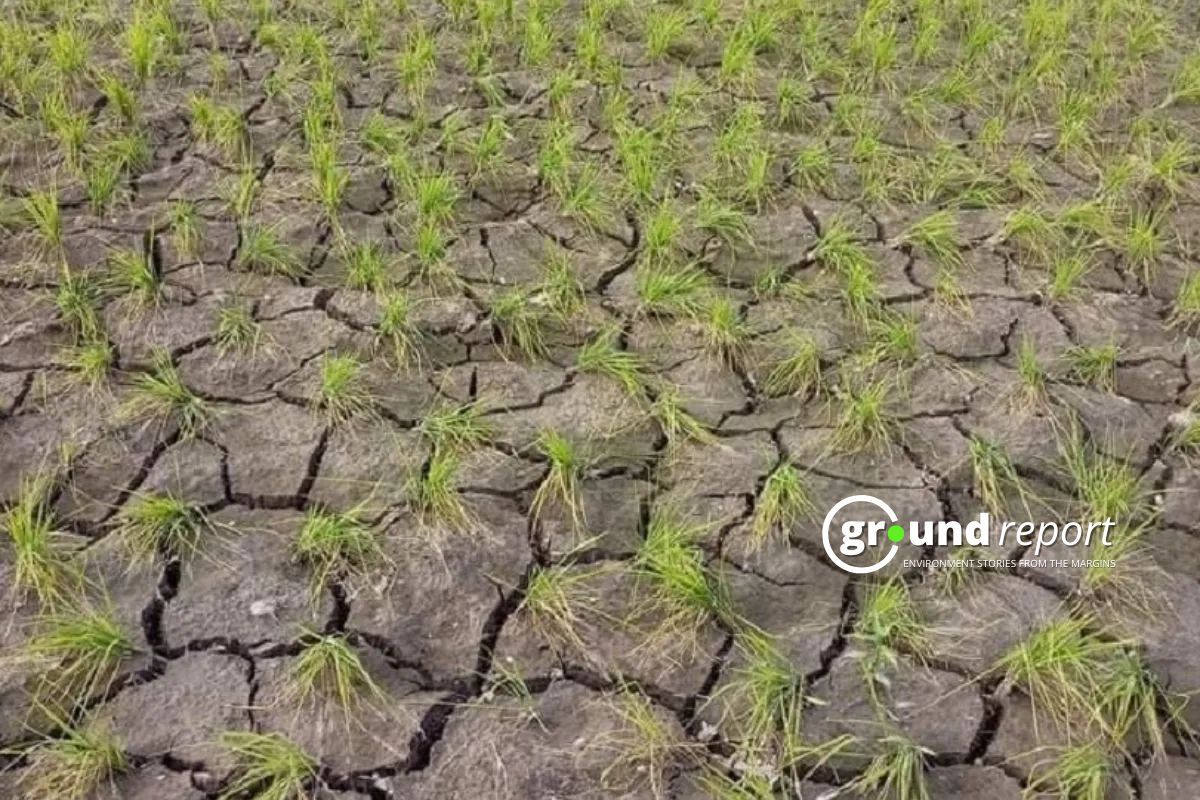 2024 sees unprecedented climate disasters, record displacements & extreme weather