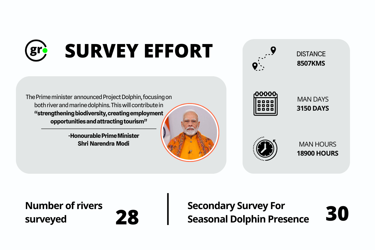 Dolphin survey