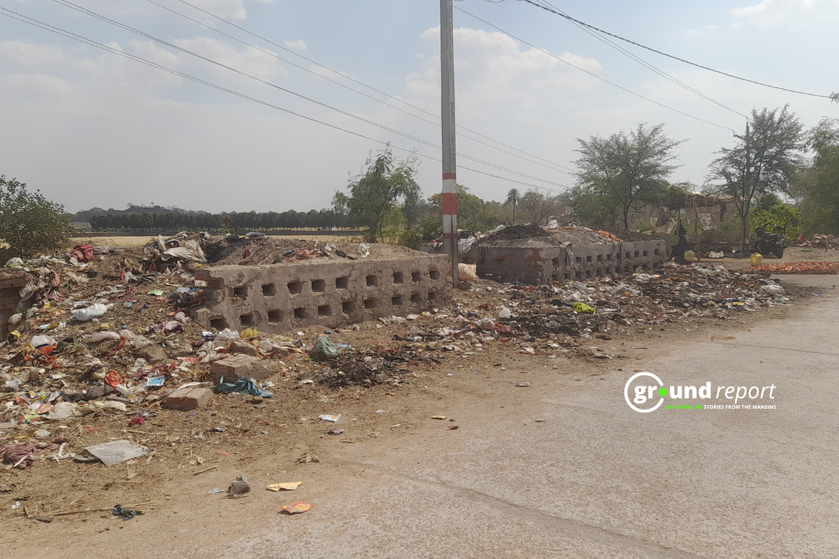 community compost pit MP