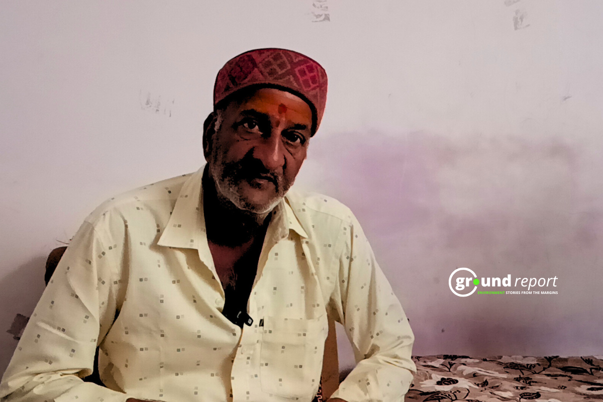 mp leads the pulse production