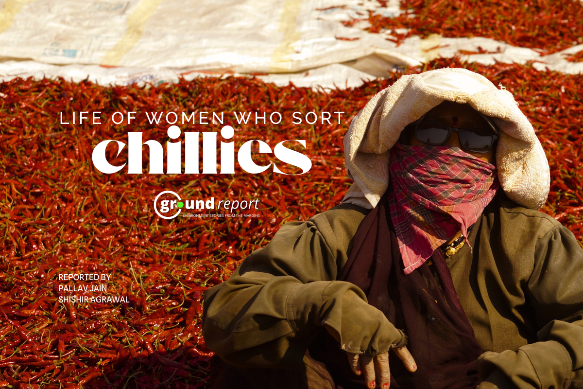 Rising temperatures increasing hardships of chilli sorters in Khargone