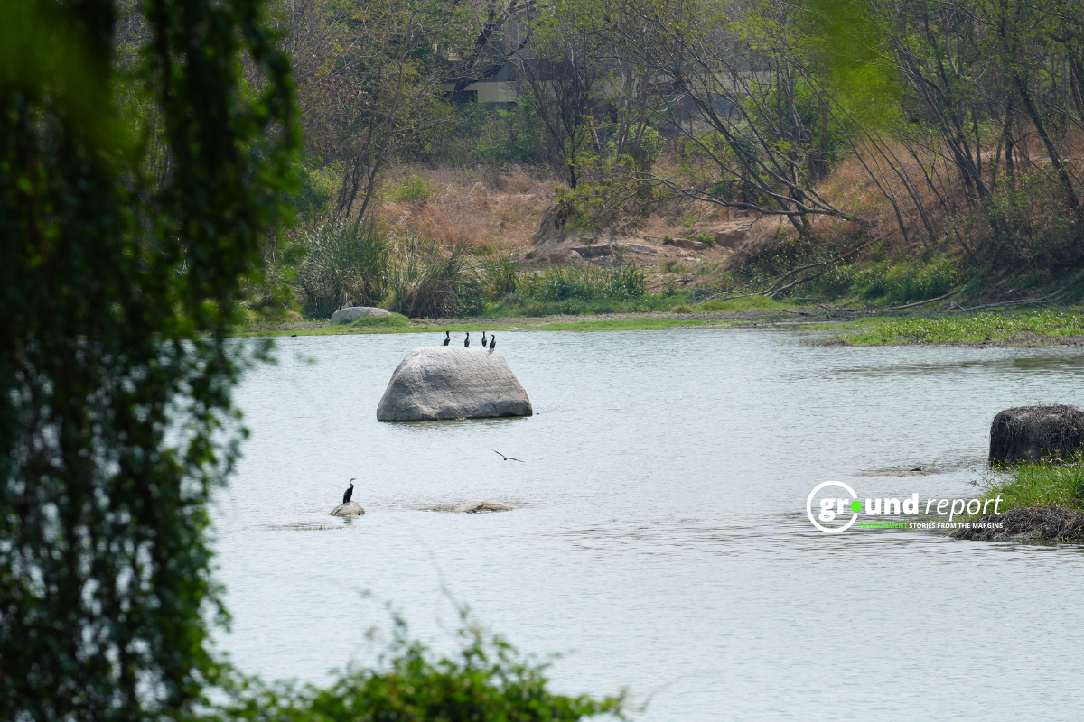 Hyderabad students protest over land auction1