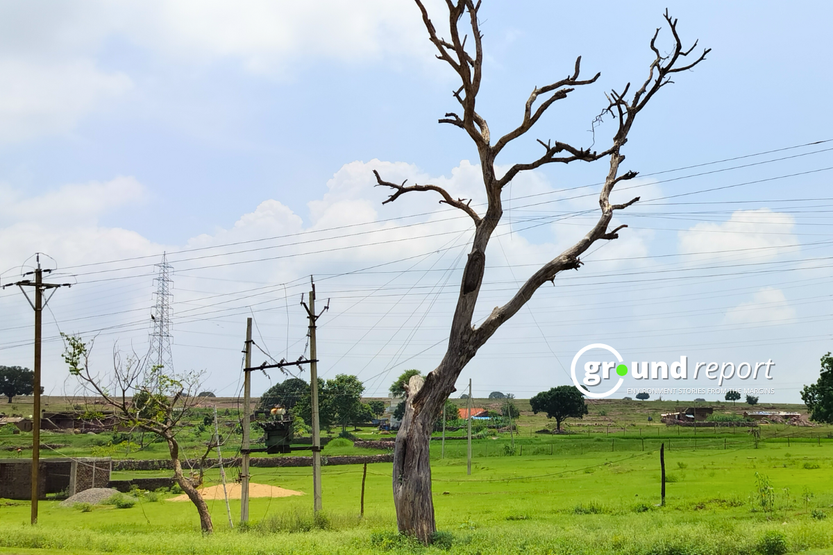 Temperature drops in Bhopal, Indore, and Gwalior; wind brings relief