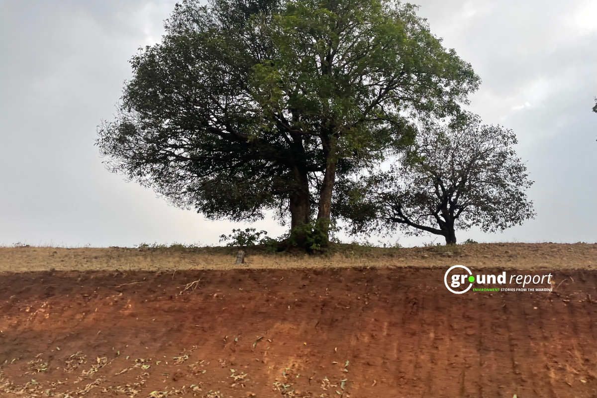Madhya Pradesh gully erosion 12