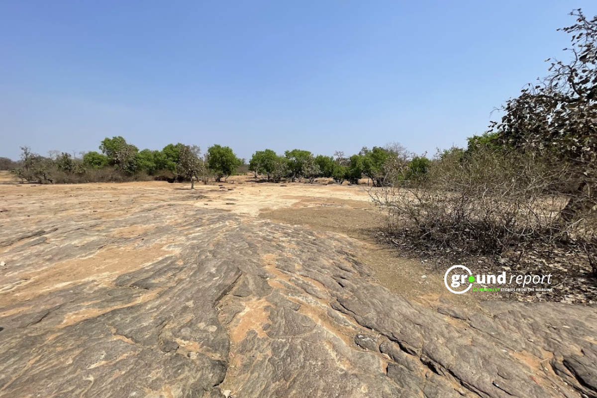 Madhya Pradesh gully erosion 123