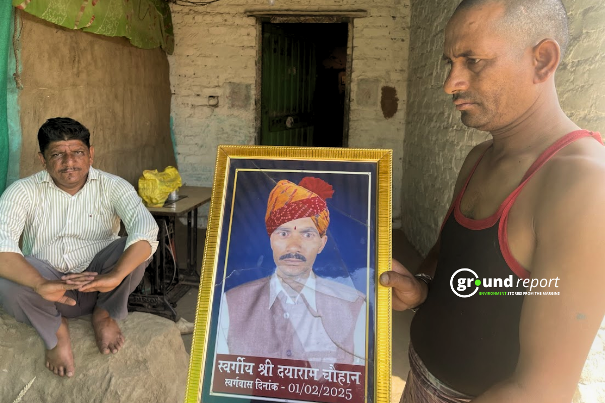 pesticide consumption