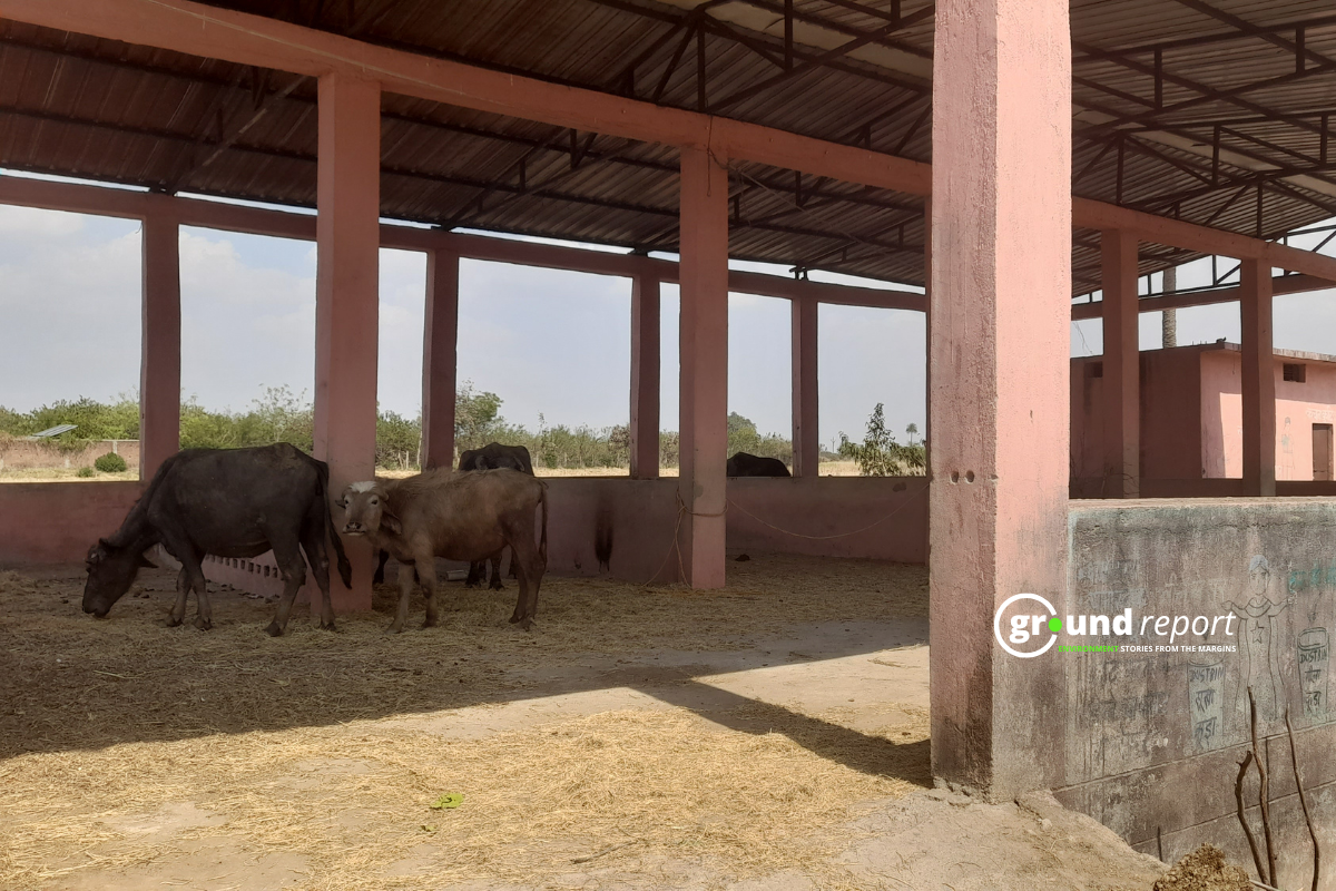 waste segregation shade