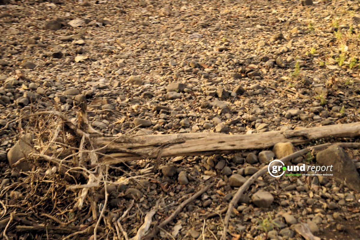 Degraded forest of Madhya Pradesh