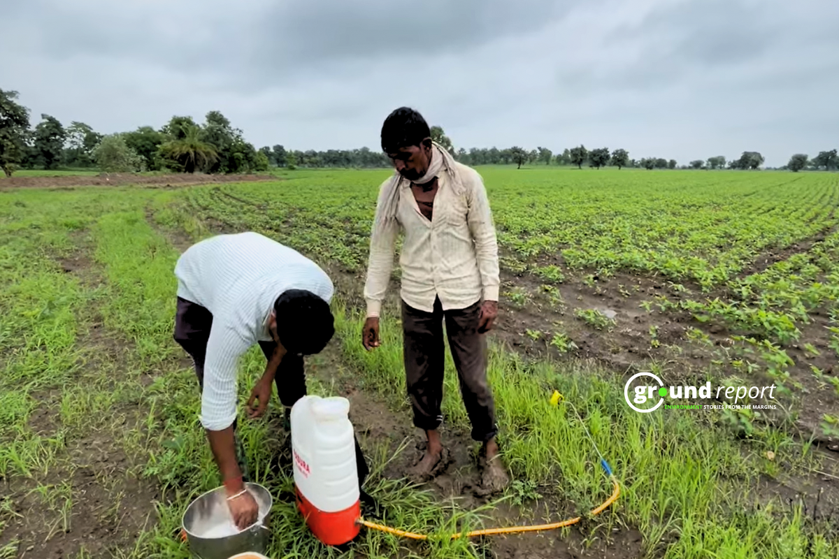 Pesticide for Spraying