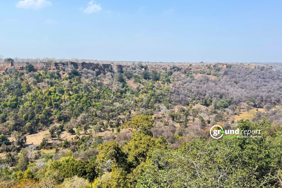 शाहाबाद के जंगलों को काटकर यहां पंप्ड हायड्रो प्रोजेक्ट लगाया जाएगा