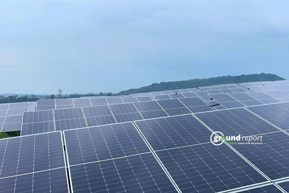 How India's Solar Power Grew Year by Year: 2014-2025