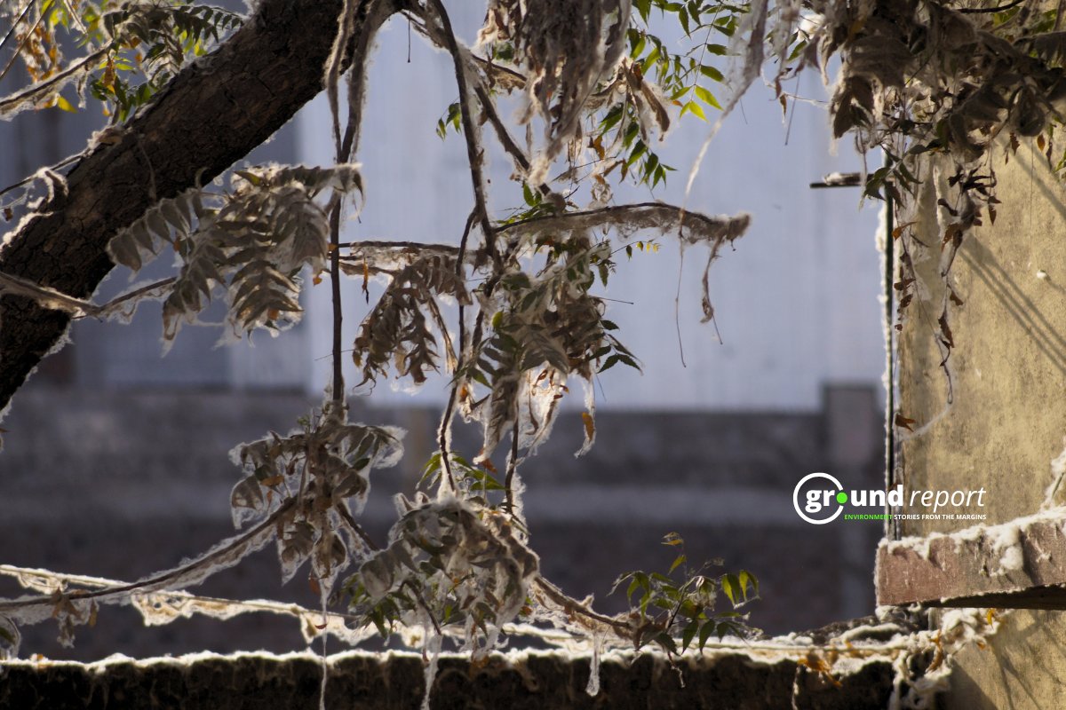 byssinosis in india khargone