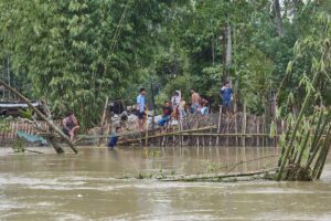 Large area of Assam hit by land degradation & erosion: Govt tells Rajya Sabha