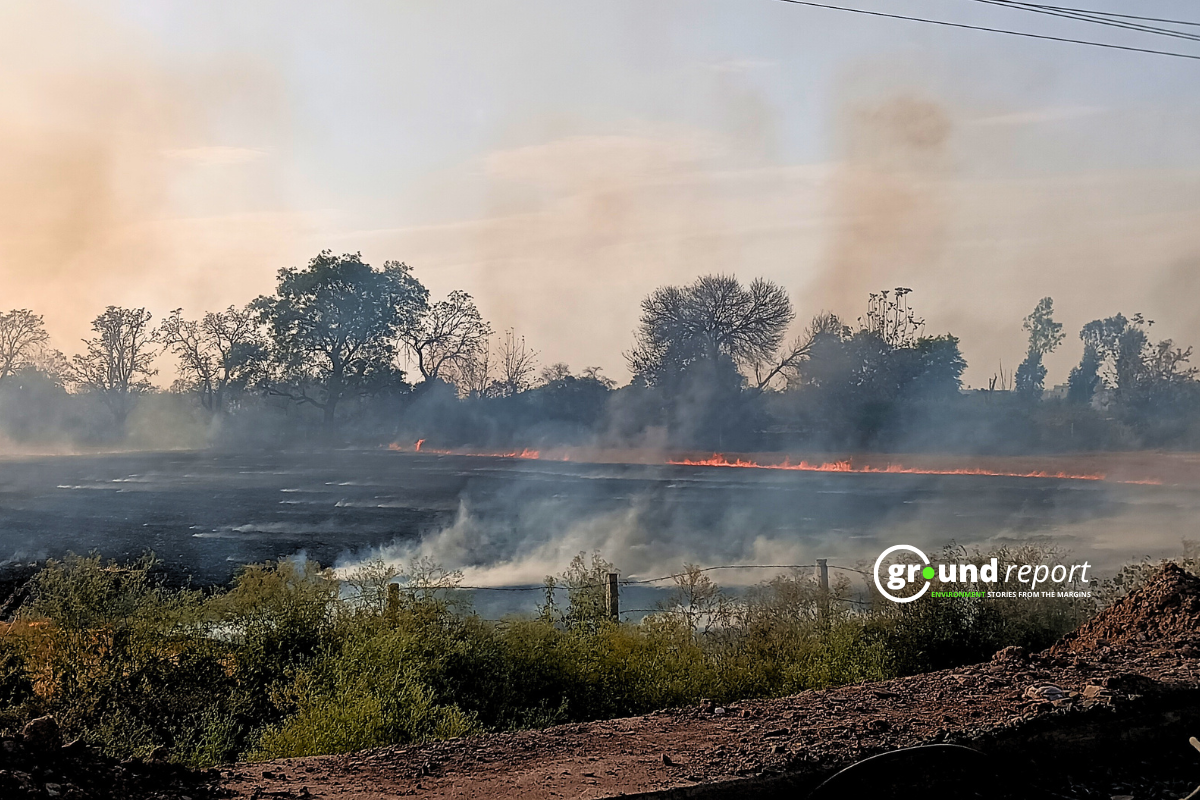 India’s farm policies behind bad air, unhealthy diet, water crisis