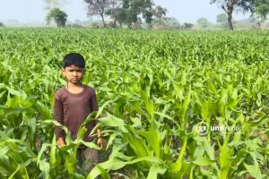 जलवायु परिवर्तन ने बदली उत्तराखंड की खेती की सूरत