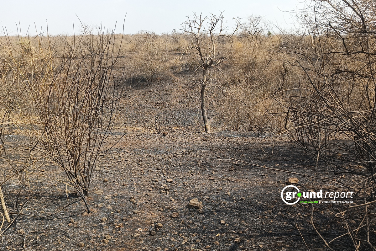 Less Fire, More Damage: 2025 Was the Costliest Wildfire Year Ever
