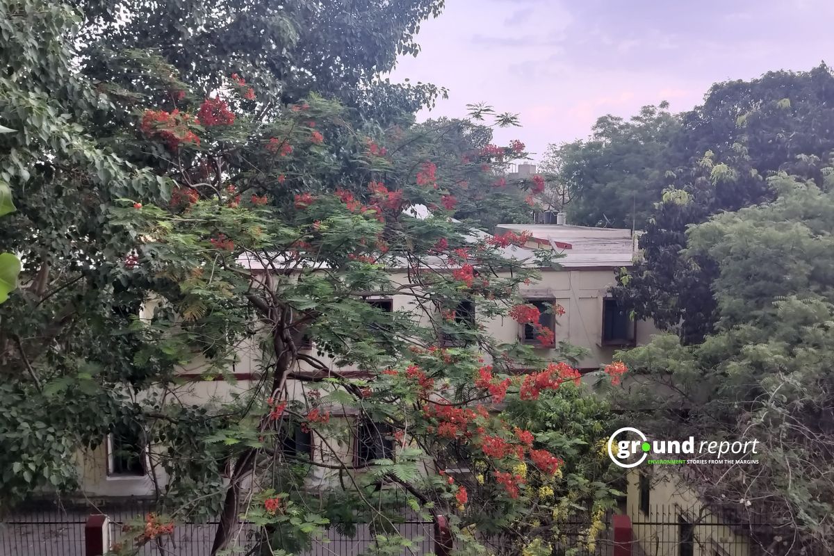 Heavy Rain to Lash 11 Districts in Madhya Pradesh as 3 Weather Systems Collide