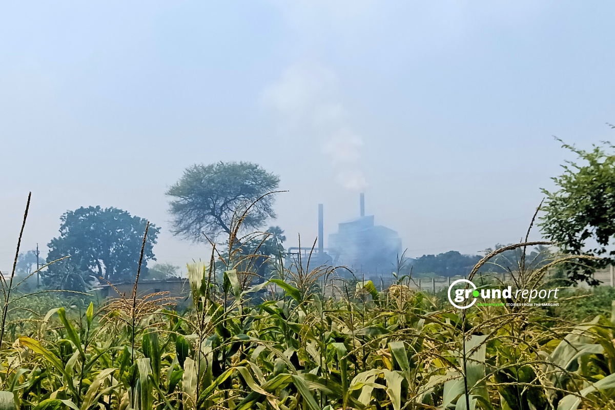 India’s CO2 Rise Slows Sharply. What Changed in 2025?