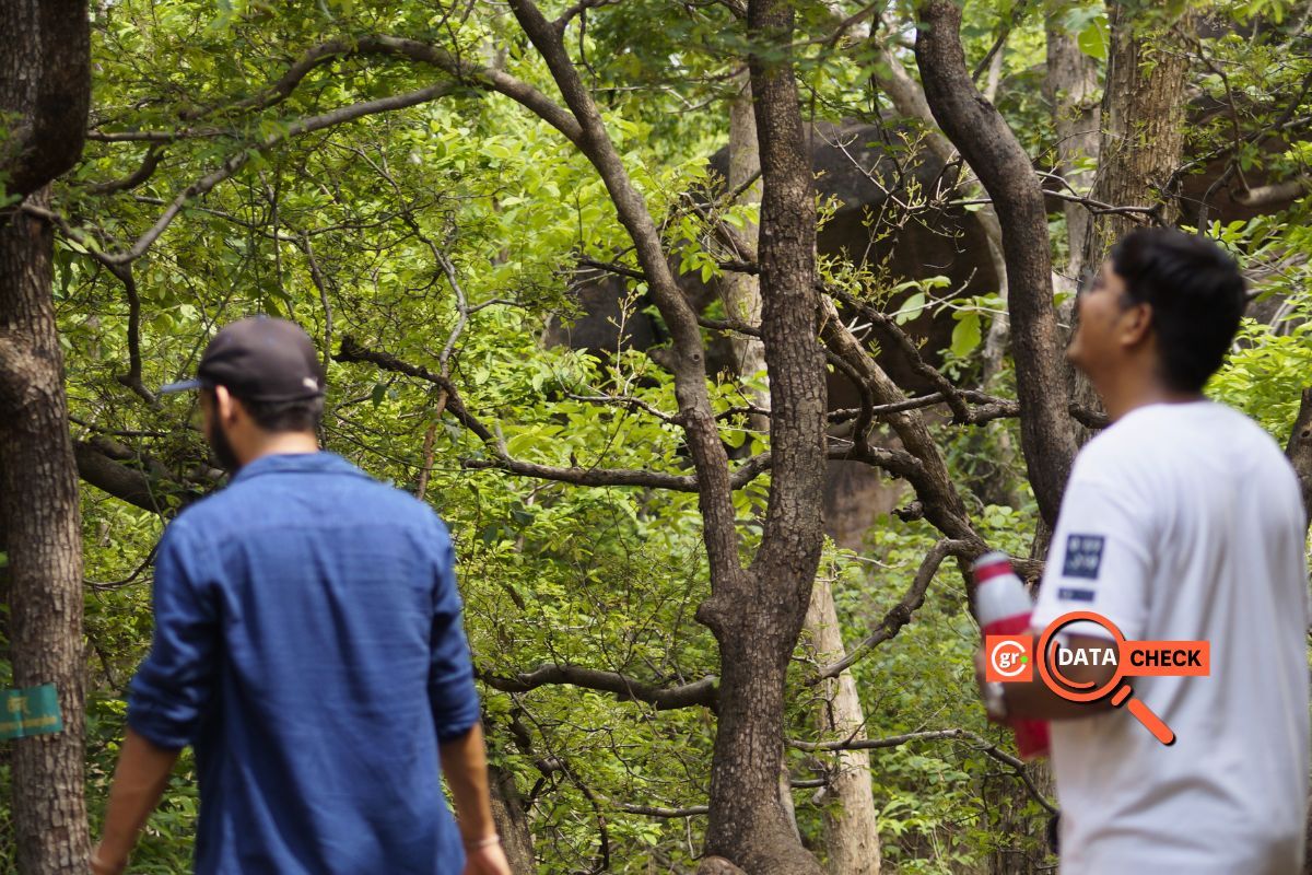 How Green India Mission Fund used in Madhya Pradesh