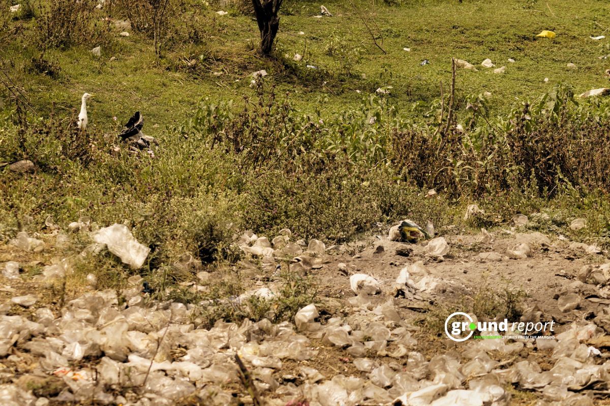 NGT Demands Report on Microplastic Pollution in Bhopal Lakes