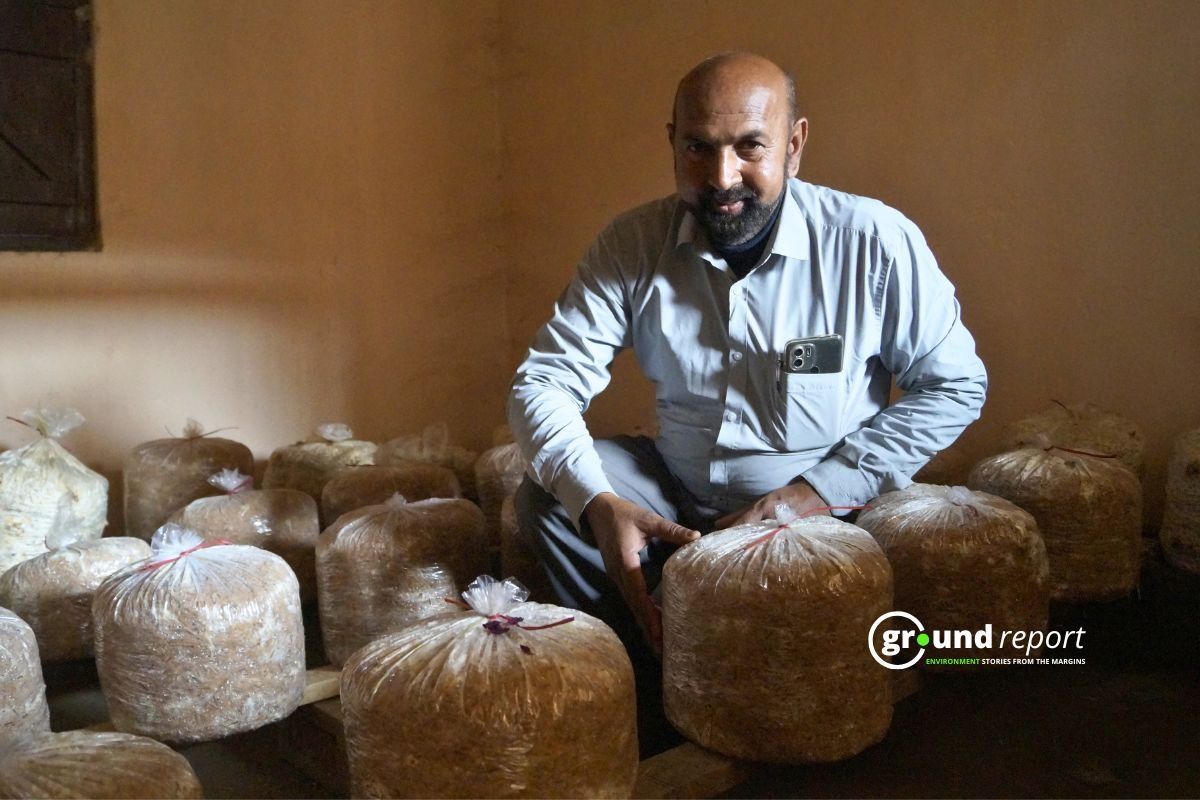 Mushroom Farming in Bihar Success Story