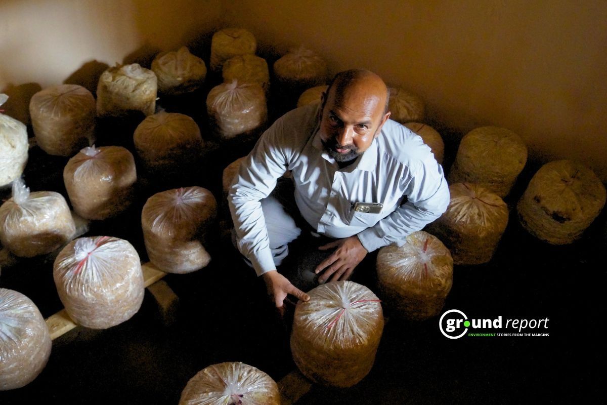 Growing Mushrooms in Muzaffarpur’s Kanti, and Dreaming Prosperity