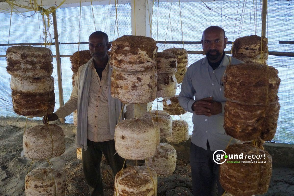 Mushroom growers of Muzaffarpur Bihar